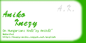 aniko knezy business card